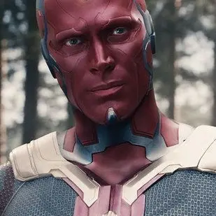 Vision