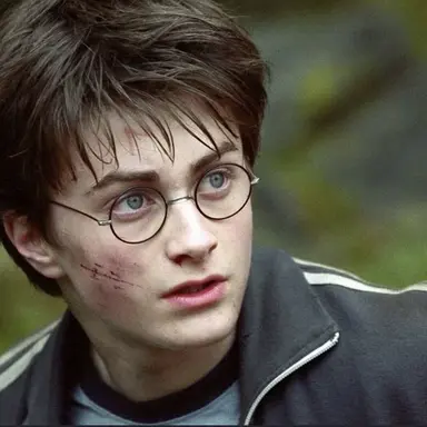 Harry Potter