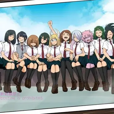Class 1A and 1B harem
