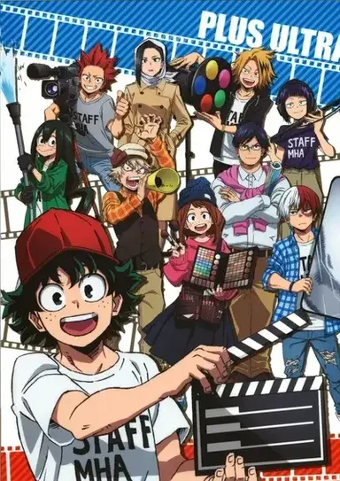 Mha USA internship