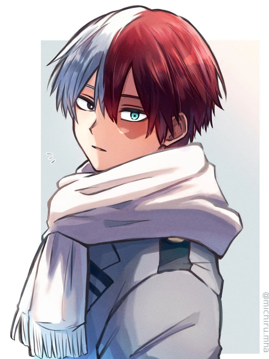 Shoto Todoroki