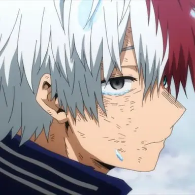 Shoto Todoroki