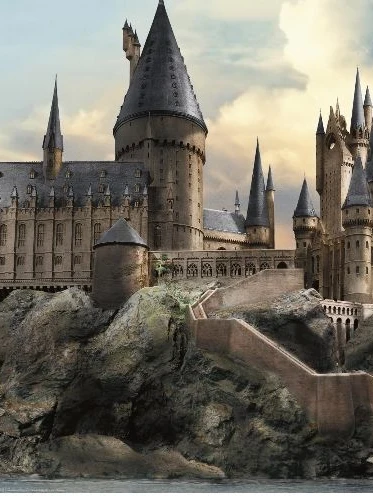 Harry Potter