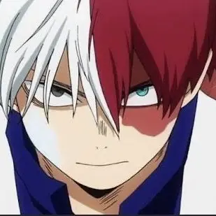 Shoto Todoroki