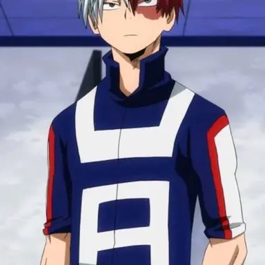 Shoto Todoroki