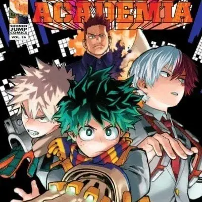 Mha vigilante user_