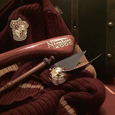 Harry Potter
