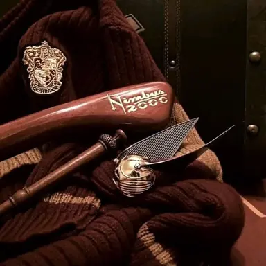 Harry Potter
