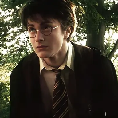 Harry Potter