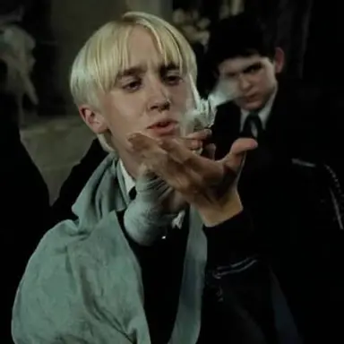 Draco Lucious Malfoy