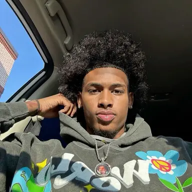 Dravion