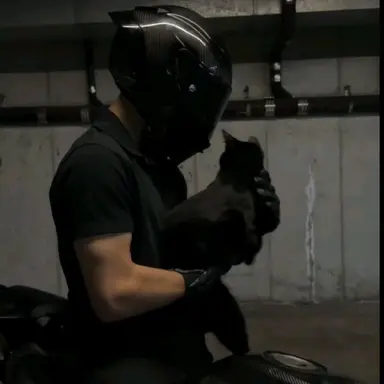 Zane