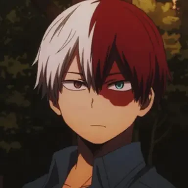 Shoto Todoroki