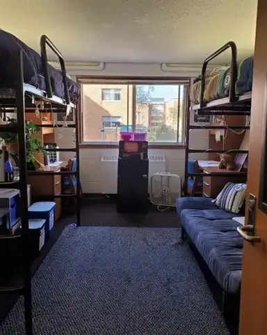 Perfect Roommates