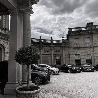 Mafia family