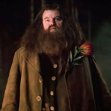 Rubeus Hagrid