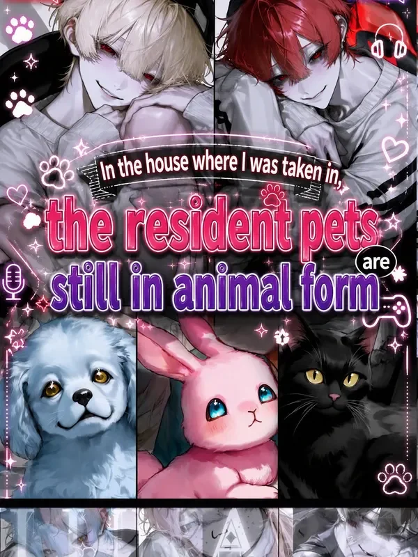 IV