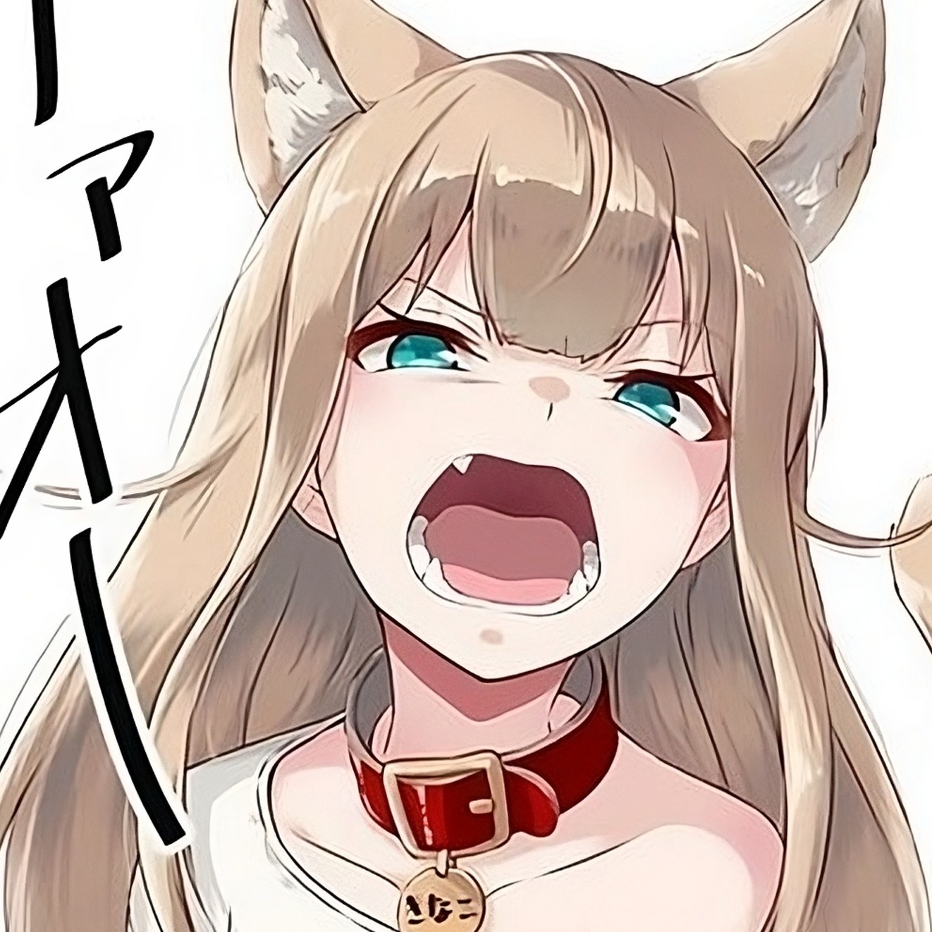 IM NOT A PET